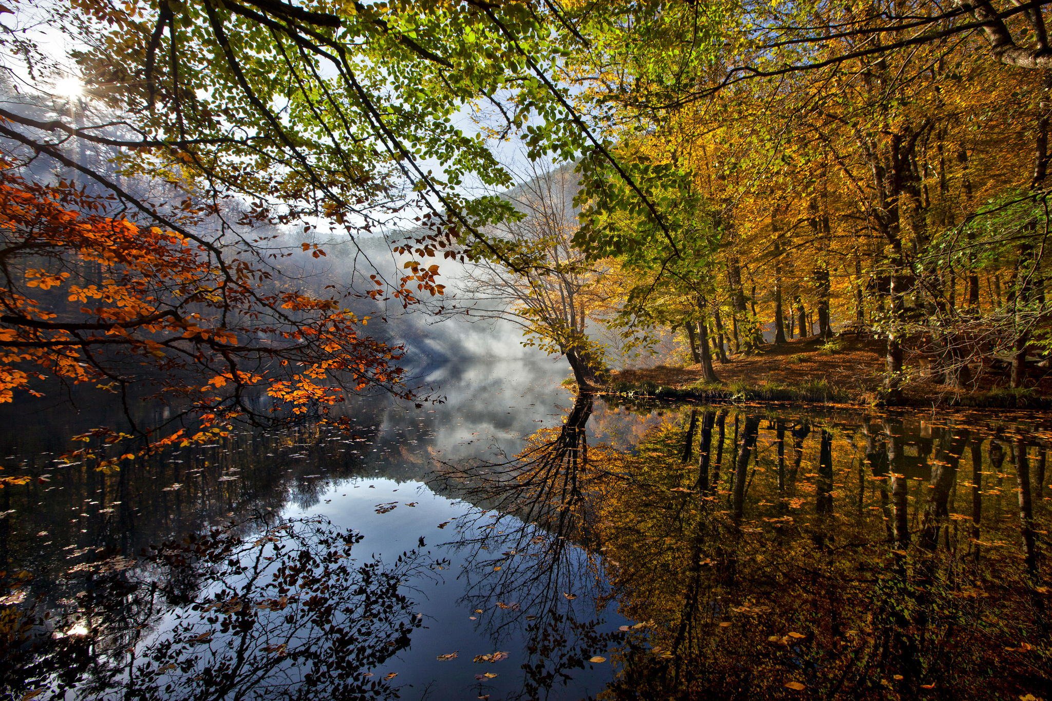 autumn, River, Leaves, Trees, Reflection Wallpaper