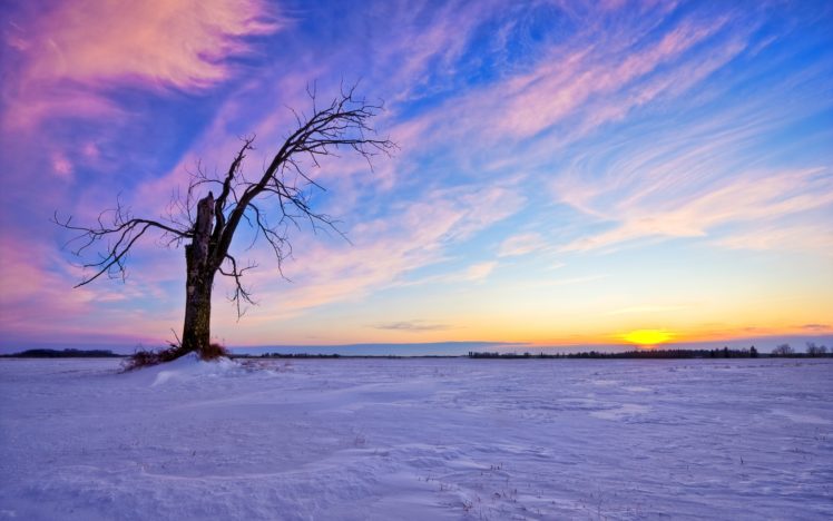 beautiful, Winter, Sunset HD Wallpaper Desktop Background