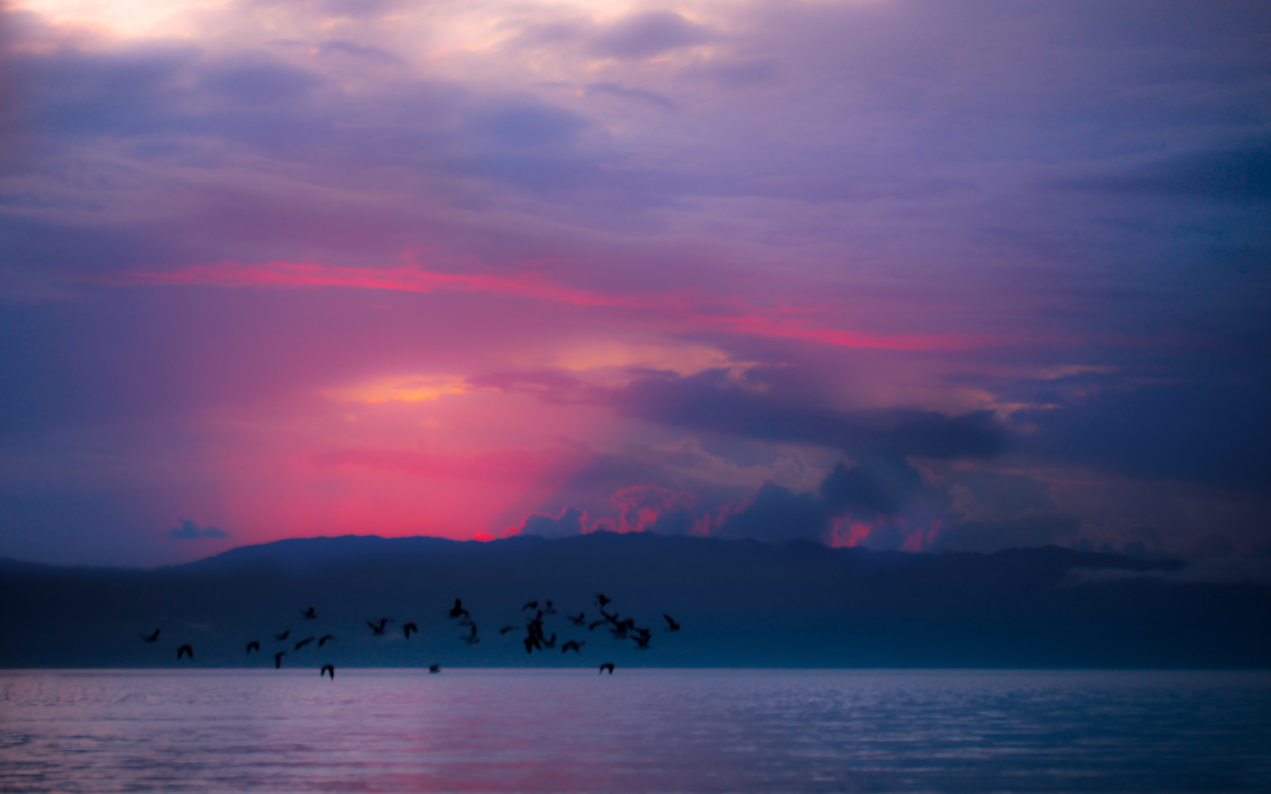 pink, Sunset Wallpaper