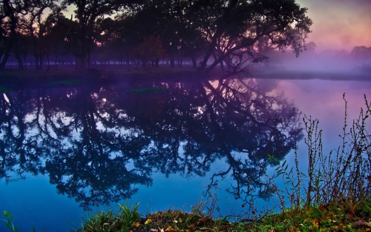landscapes, Trees, Lakes, Reflections HD Wallpaper Desktop Background
