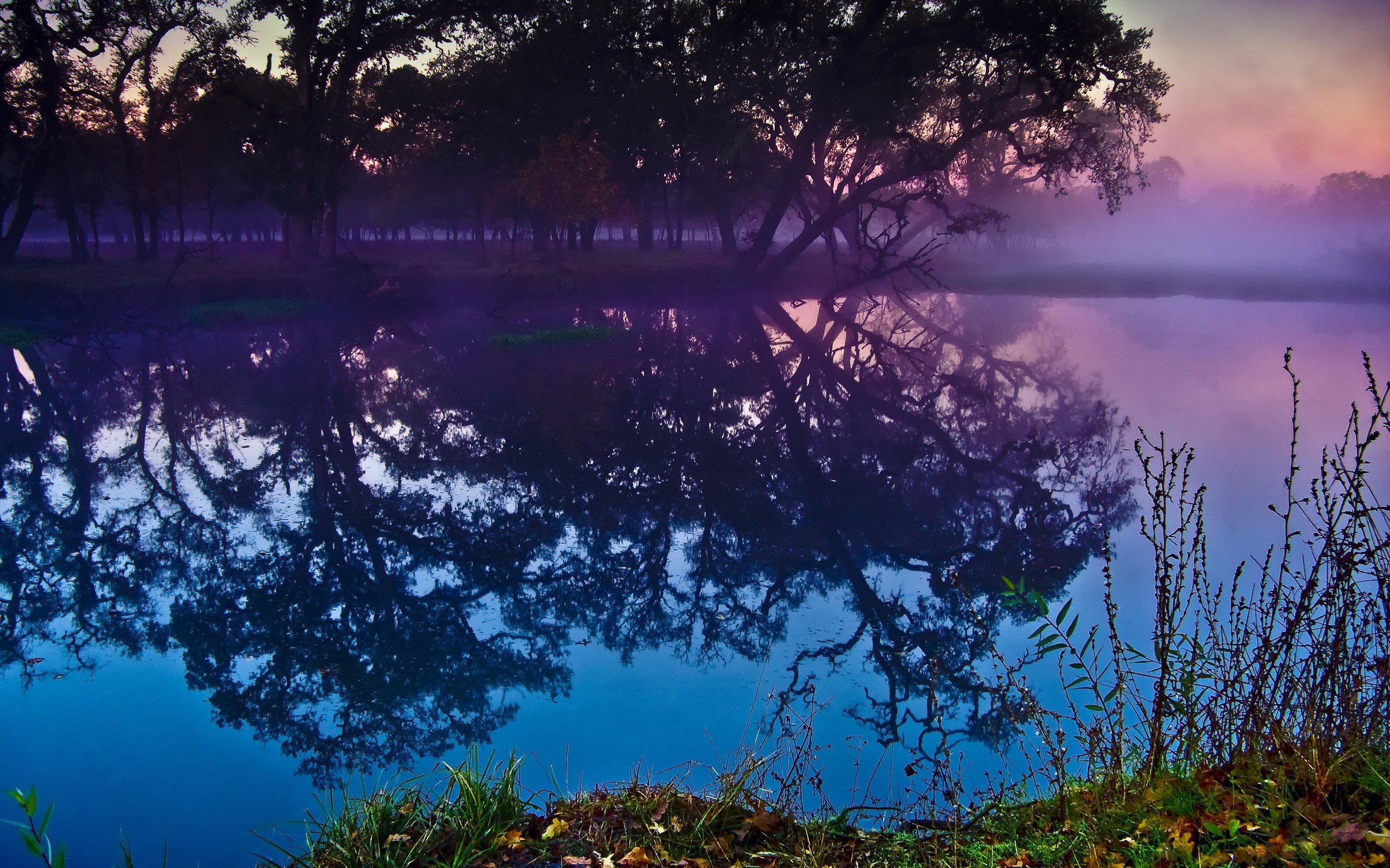 landscapes, Trees, Lakes, Reflections Wallpaper