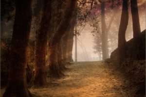 nature, Trees, Forests, Paths, Outdoors, Artwork