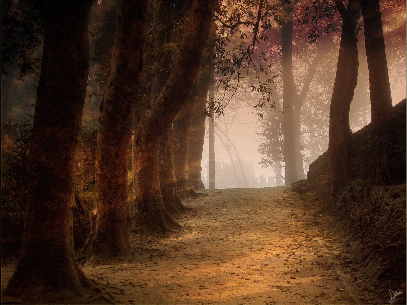 nature, Trees, Forests, Paths, Outdoors, Artwork Wallpaper