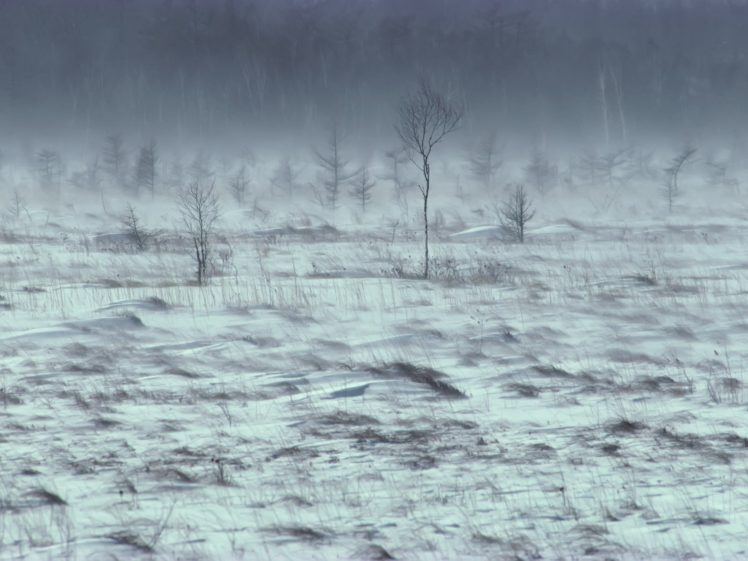landscapes, Nature, Winter, Hdr, Photography HD Wallpaper Desktop Background