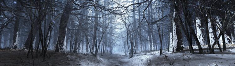 landscapes, Winter, Forests, Multiscreen HD Wallpaper Desktop Background