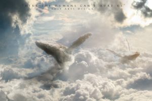 clouds, Fantasy, Art, Hurt, Whales, Digital, Art, Can, Skies, Here, Humans, Humpback, Whales