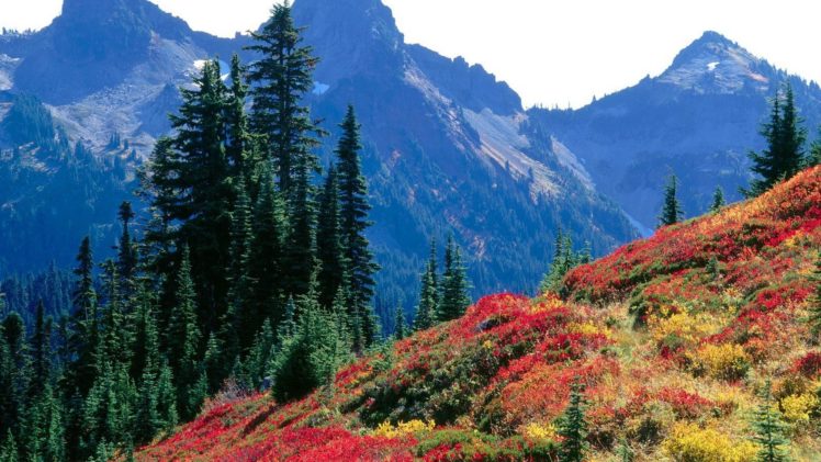 landscapes, Autumn, Spectrum, Range, National, Park, Washington, Mount, Rainier HD Wallpaper Desktop Background