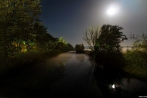 water, Landscapes, Nature, Trees, Night, Forests, Scenic, Lakes