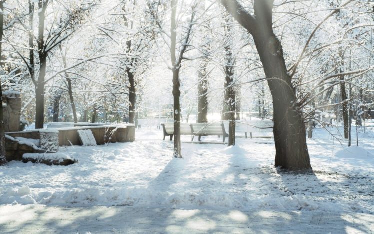 landscapes, Nature, Snow, Trees HD Wallpaper Desktop Background