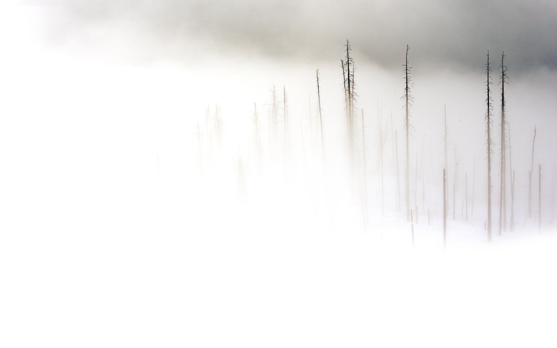 33927 Wallpaper
