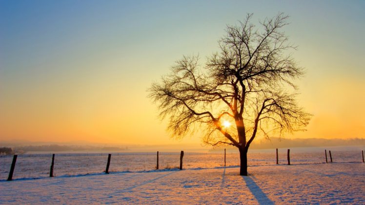 landscapes, Snow, Trees HD Wallpaper Desktop Background