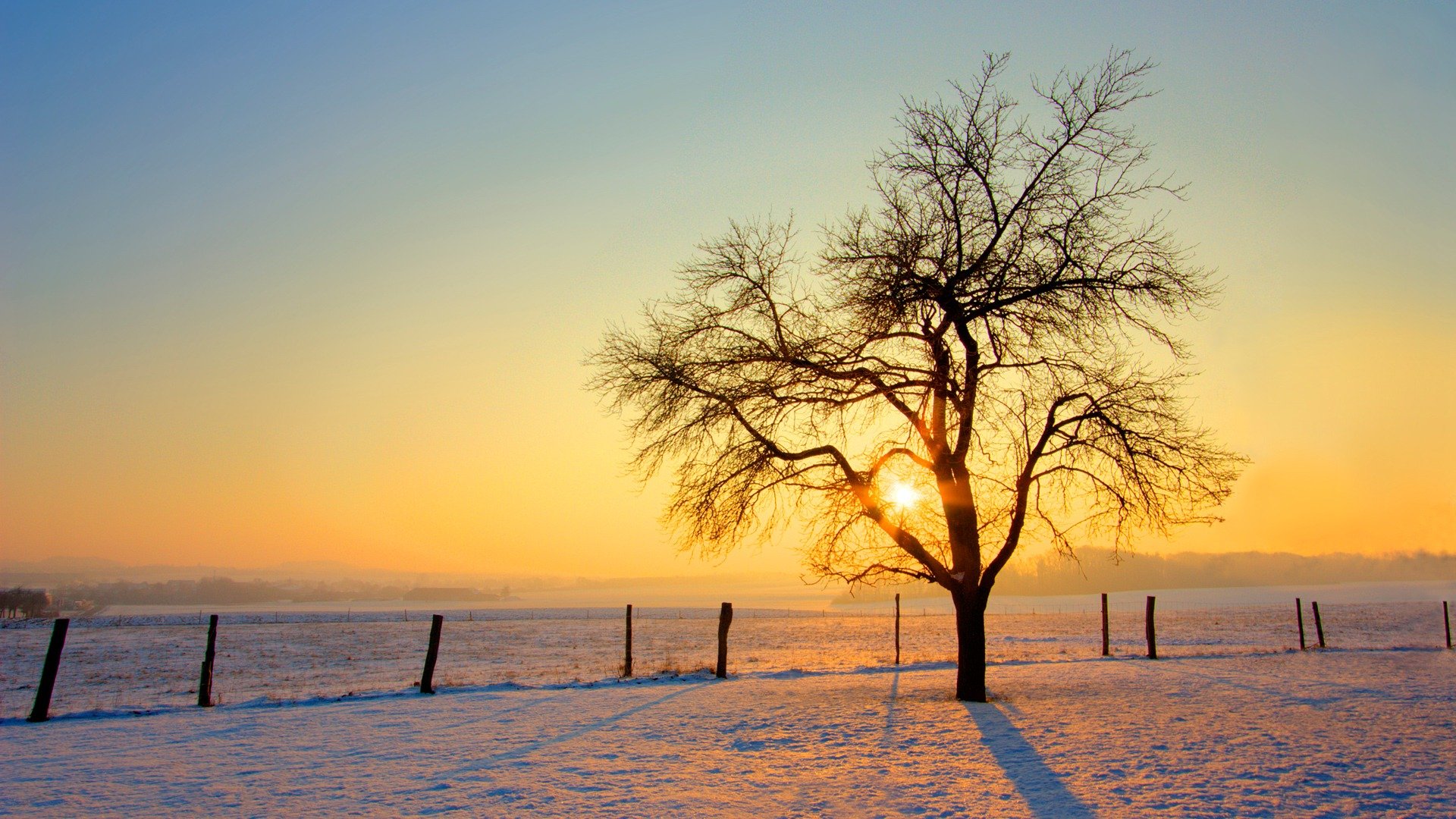 landscapes, Snow, Trees Wallpaper