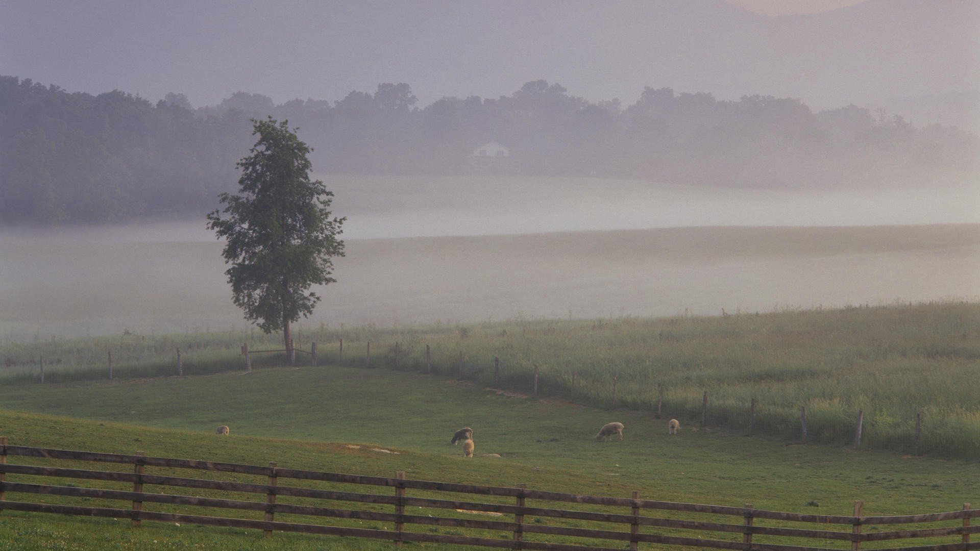 valleys, Woodstock, Shenandoah Wallpaper
