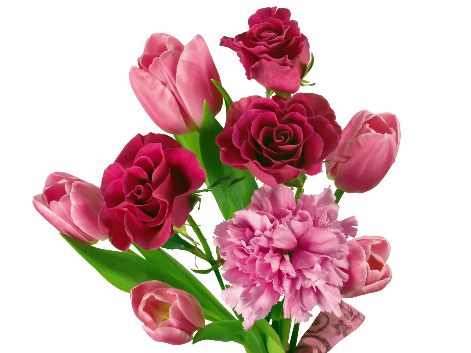 flowers, Tulips Wallpaper