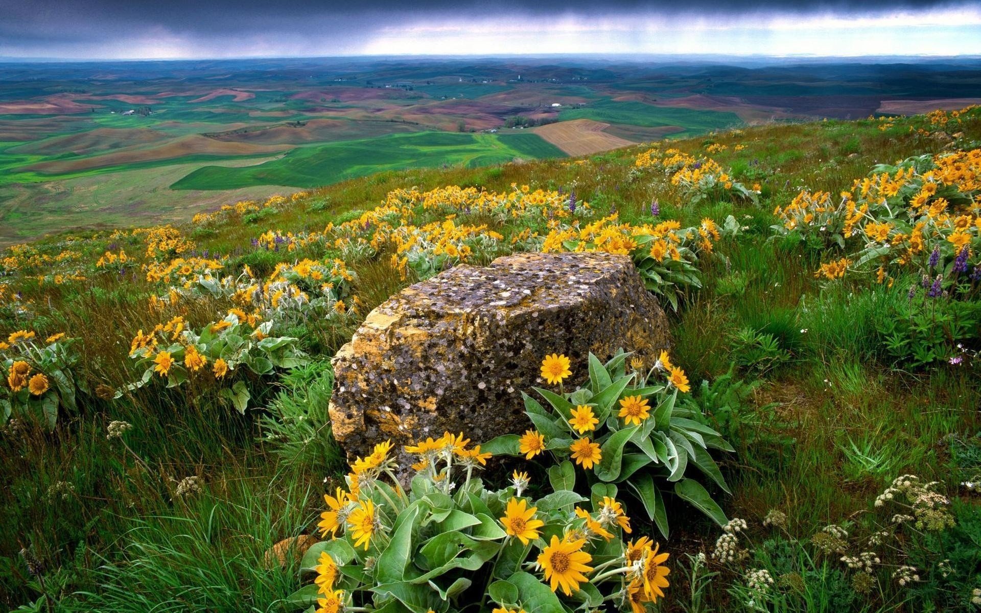 landscapes, Nature, Rocks Wallpaper