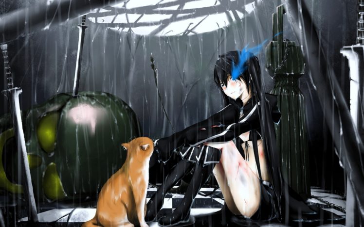 black, Rock, Shooter, Rain, Cats, Wet, Blush, Kuroi, Mato HD Wallpaper Desktop Background