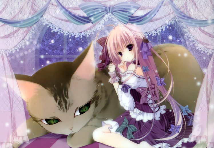 animal, Cat, Dress, Inugami, Kira, Long, Hair, Original HD Wallpaper Desktop Background