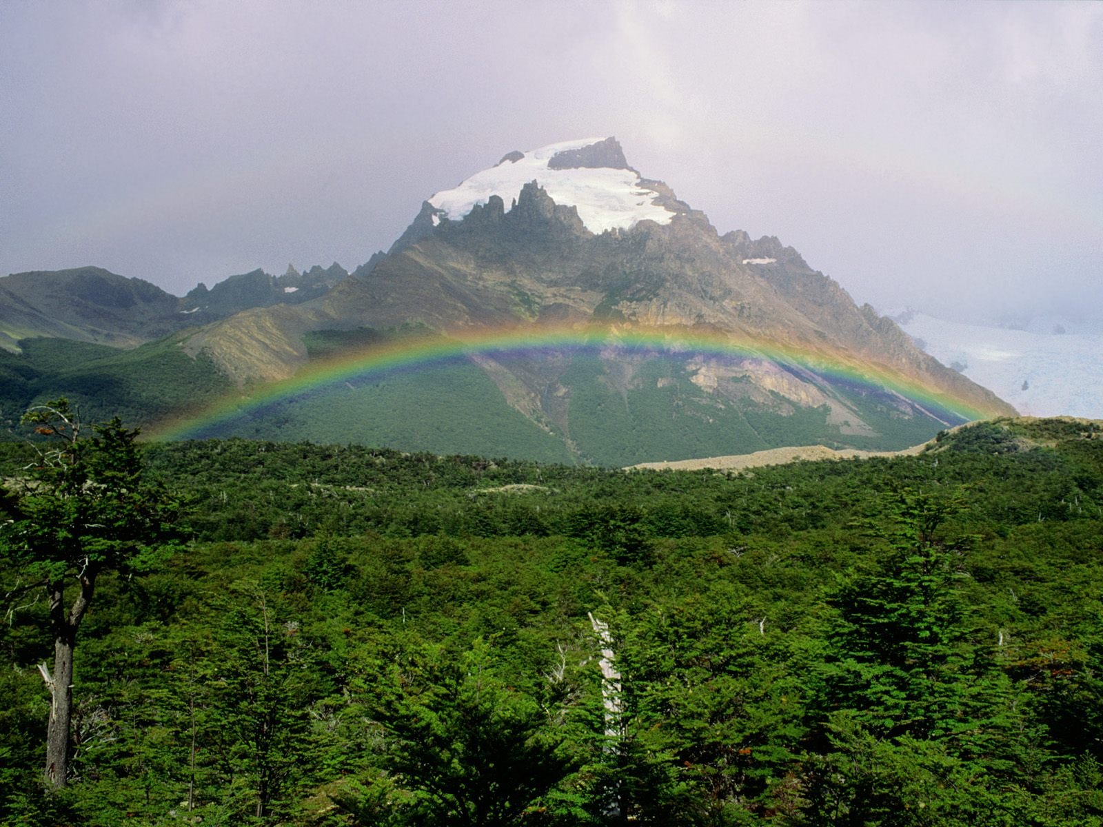 rainbows Wallpaper