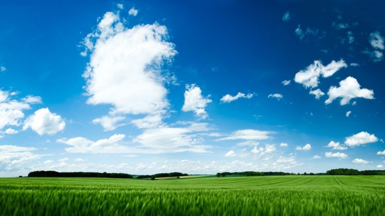 nature, Grass, Skyscapes, Blue, Skies HD Wallpaper Desktop Background