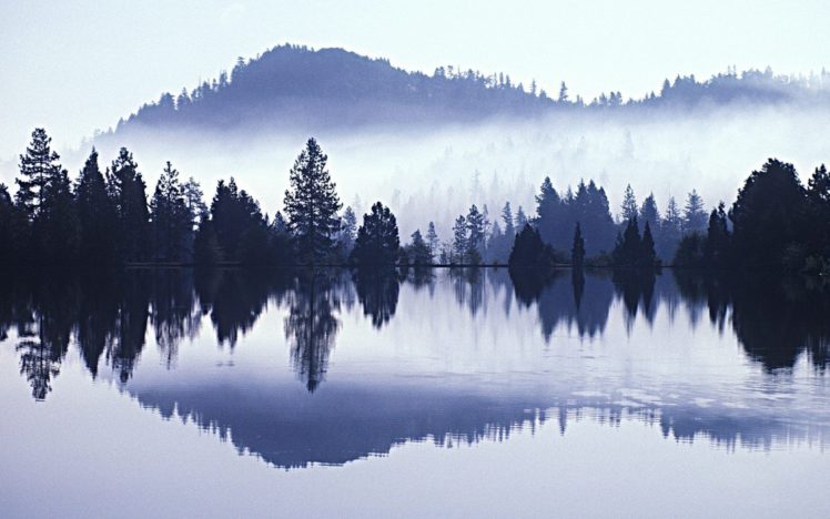 landscapes, Nature, Mist, Morning HD Wallpaper Desktop Background