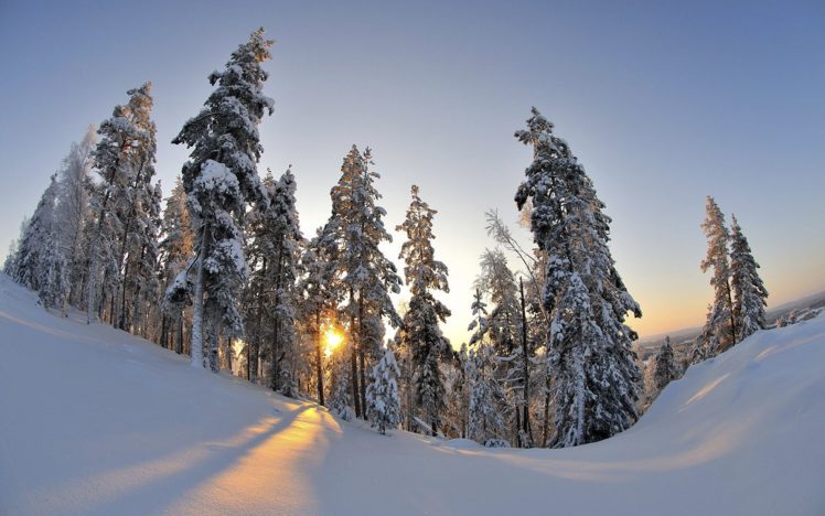 winter, Snow, Trees HD Wallpaper Desktop Background
