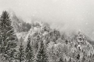 winter, Snow, Mountains, Fog, Forest