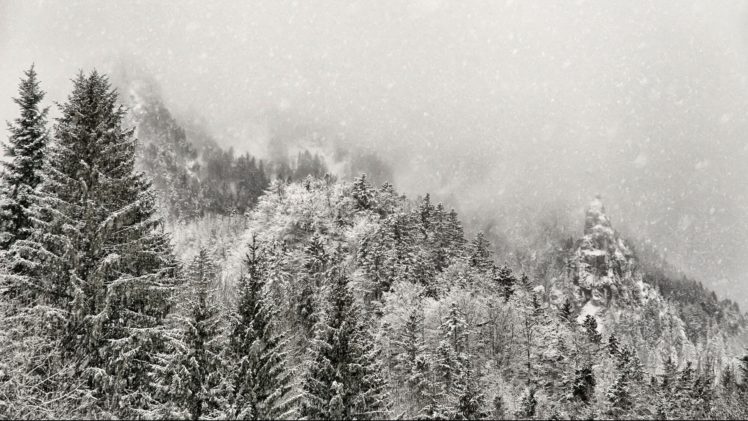 winter, Snow, Mountains, Fog, Forest HD Wallpaper Desktop Background