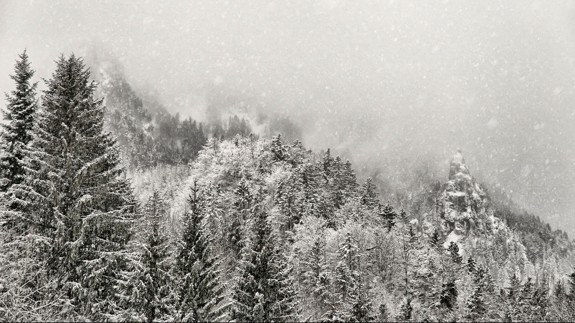 winter, Snow, Mountains, Fog, Forest Wallpaper