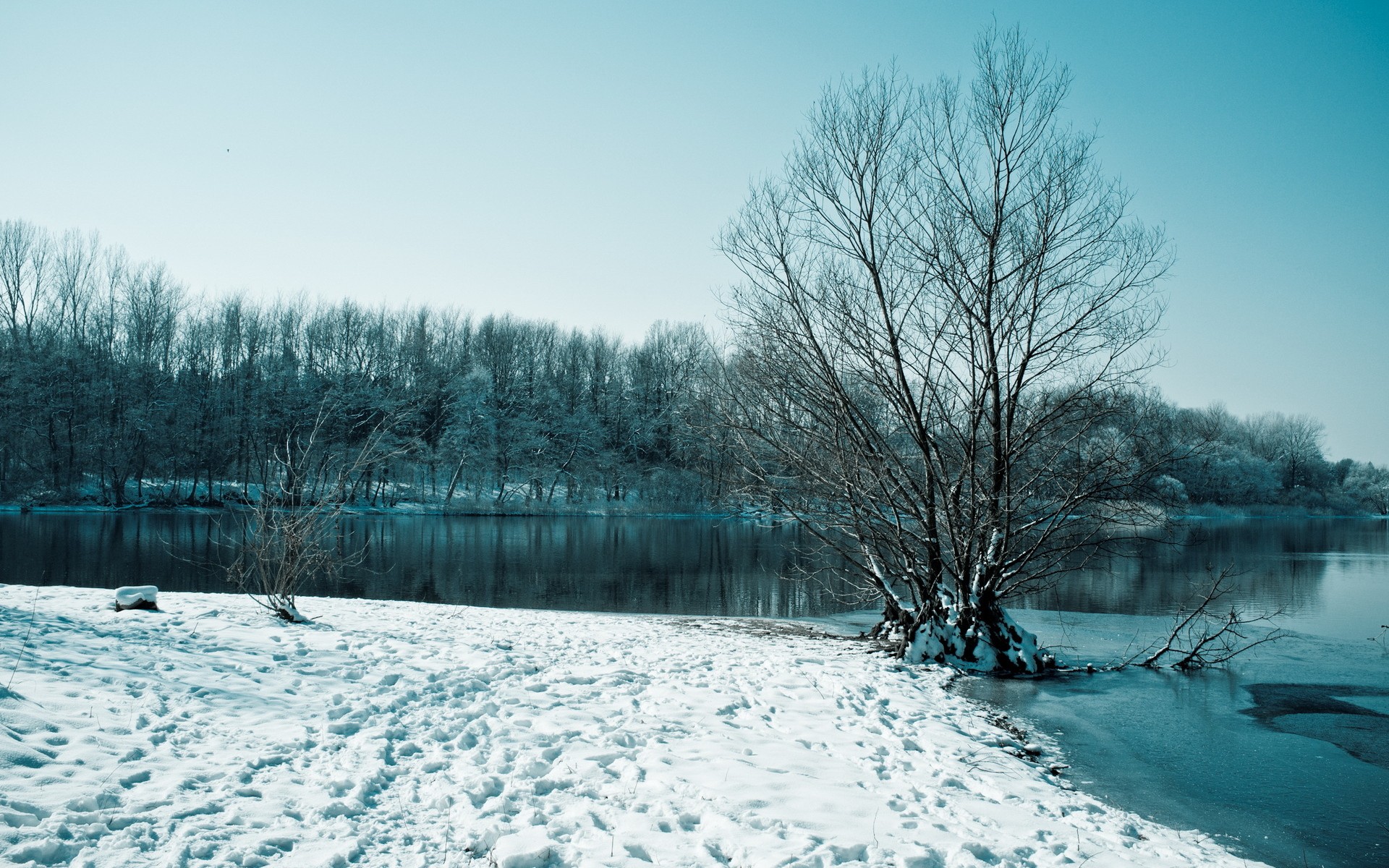 landscapes, Winter, Snow, Trees Wallpaper