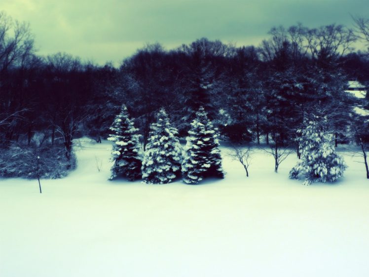 winter, Snow, Trees, Snow, Landscapes HD Wallpaper Desktop Background