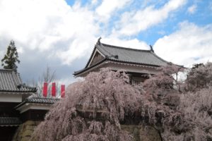 japan, Castles, Cherry, Blossoms, Flowers, Sakura, Spring
