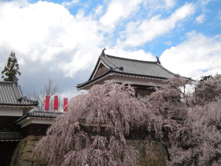 japan, Castles, Cherry, Blossoms, Flowers, Sakura, Spring HD Wallpaper Desktop Background