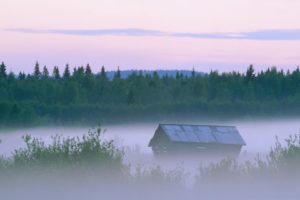 landscapes, Nature, Forests, Sweden, Mist, Evening