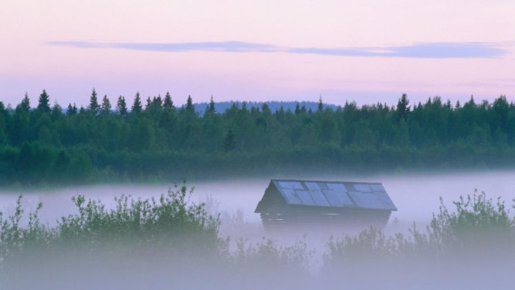landscapes, Nature, Forests, Sweden, Mist, Evening HD Wallpaper Desktop Background