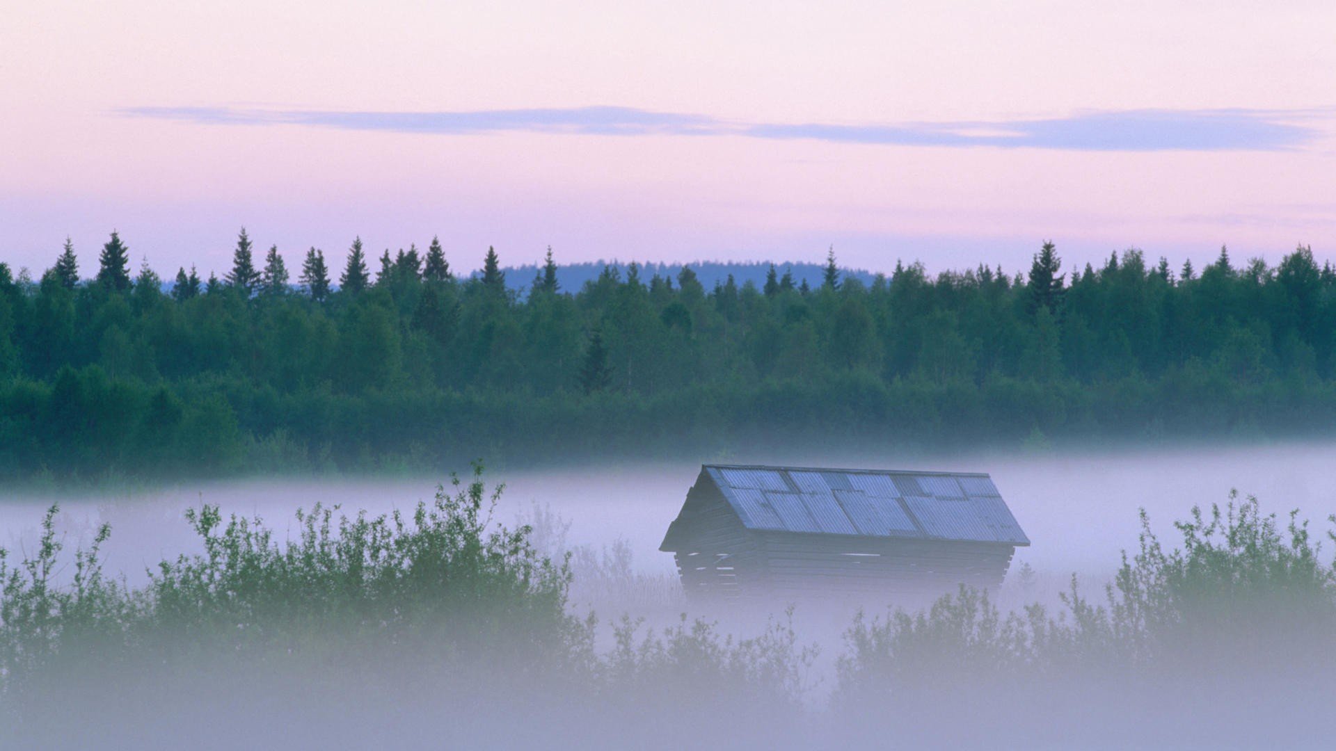 landscapes, Nature, Forests, Sweden, Mist, Evening Wallpaper