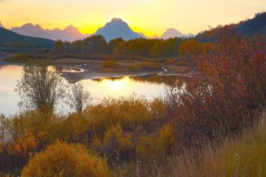 autumn, Multicolor, Wyoming, Grand, Teton, National, Park, National, Park