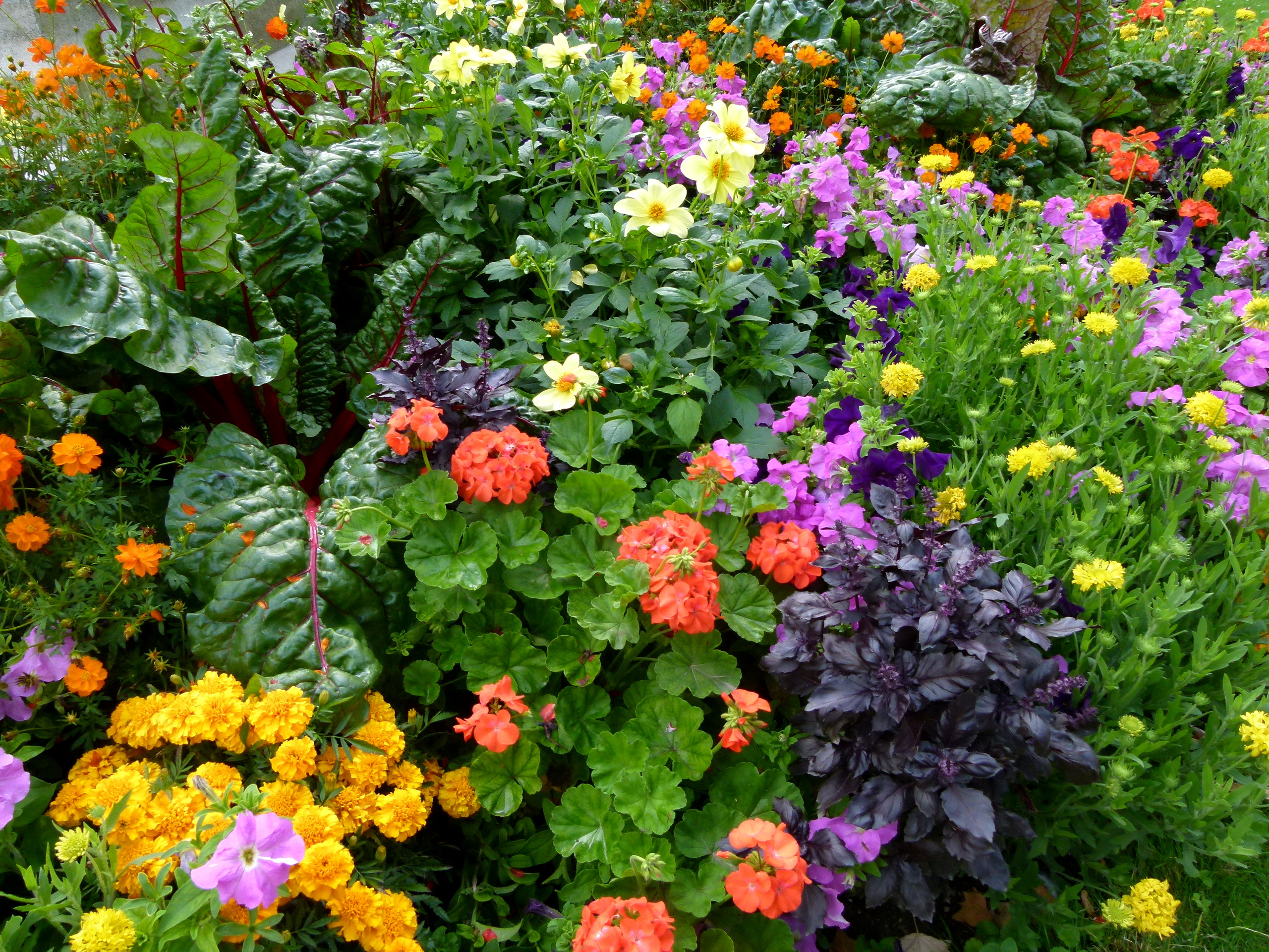 garden Wallpaper