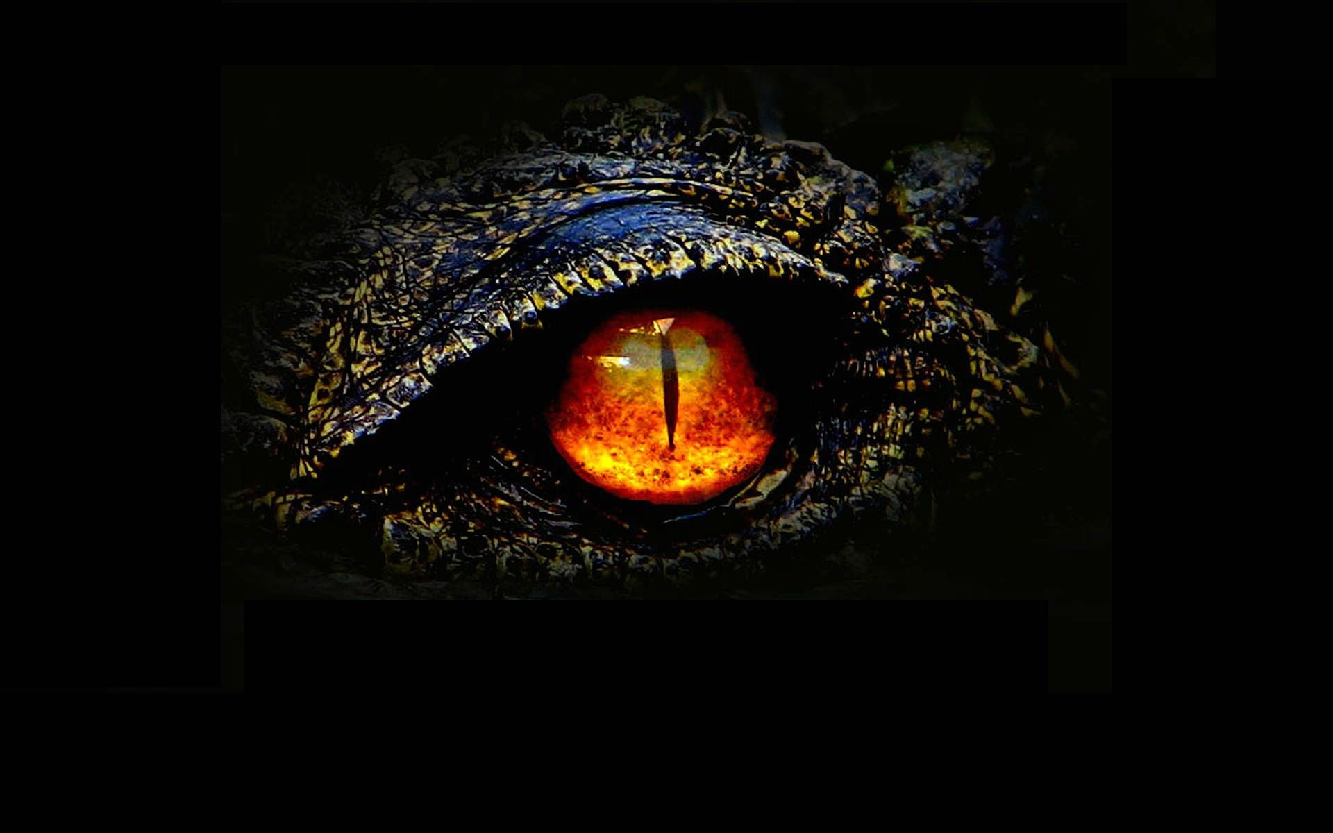 godzilla, Action, Adventure, Sci fi, Fantasy, Monster, Dinosaur, Horror,  47 Wallpaper