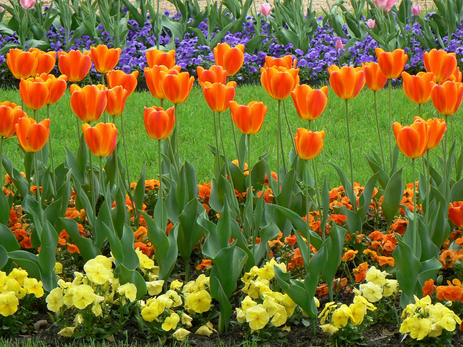 garden Wallpaper