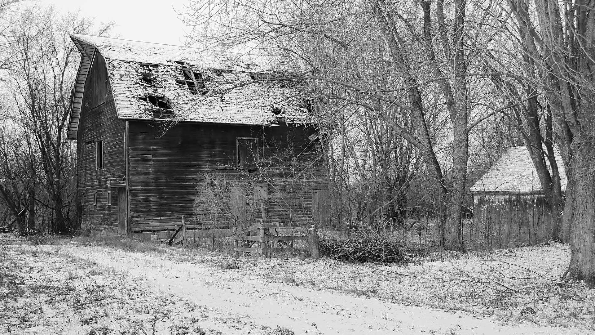 black, White, Farm, Buildings, Rustic, Trees, House, Barn, Ruin, Decay Wallpaper