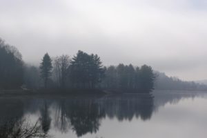water, Trees, Fog, Mist, Lakes, Rivers, Reflections
