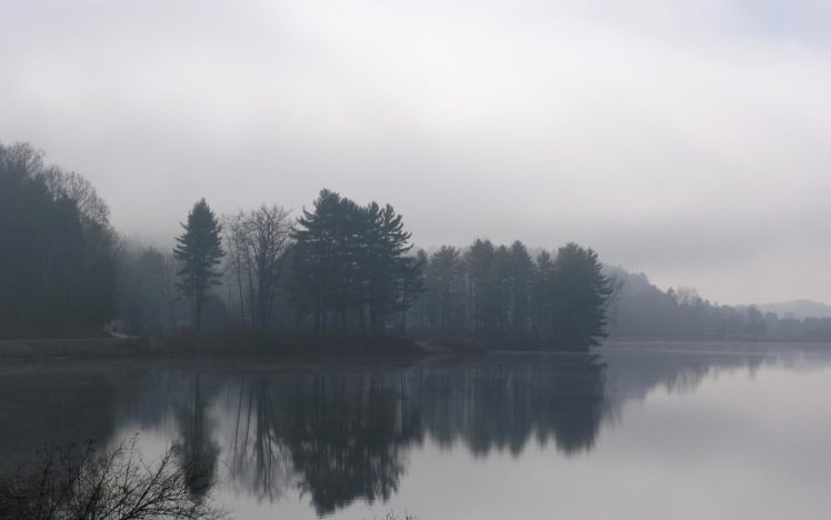 water, Trees, Fog, Mist, Lakes, Rivers, Reflections HD Wallpaper Desktop Background