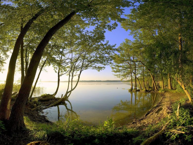 forests, Lakes HD Wallpaper Desktop Background