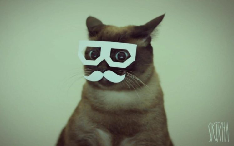 cats, Dubstep, Mustache, Stereo, Skifcha HD Wallpaper Desktop Background