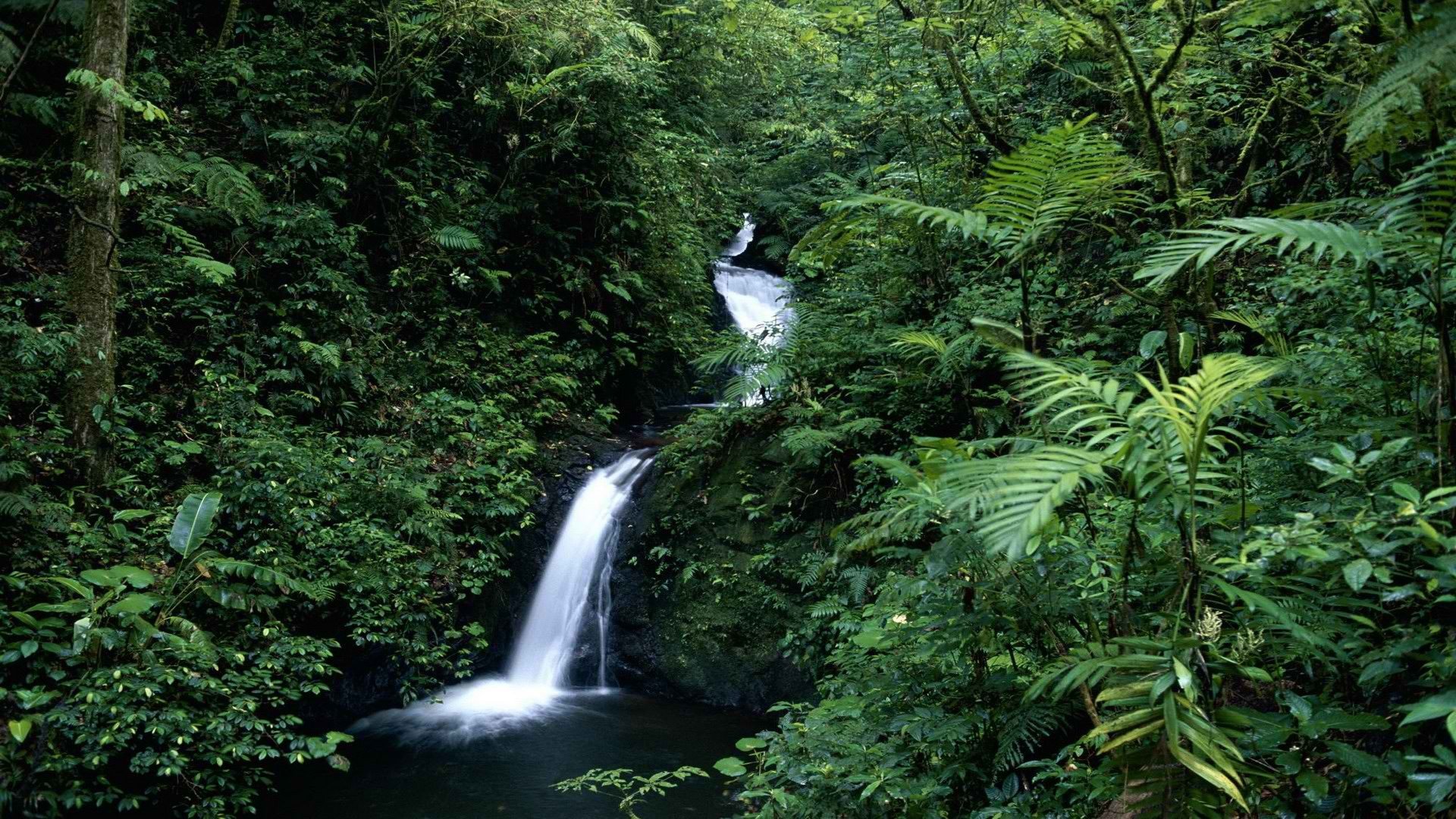 forests, Costa, Rica, Waterfalls Wallpaper