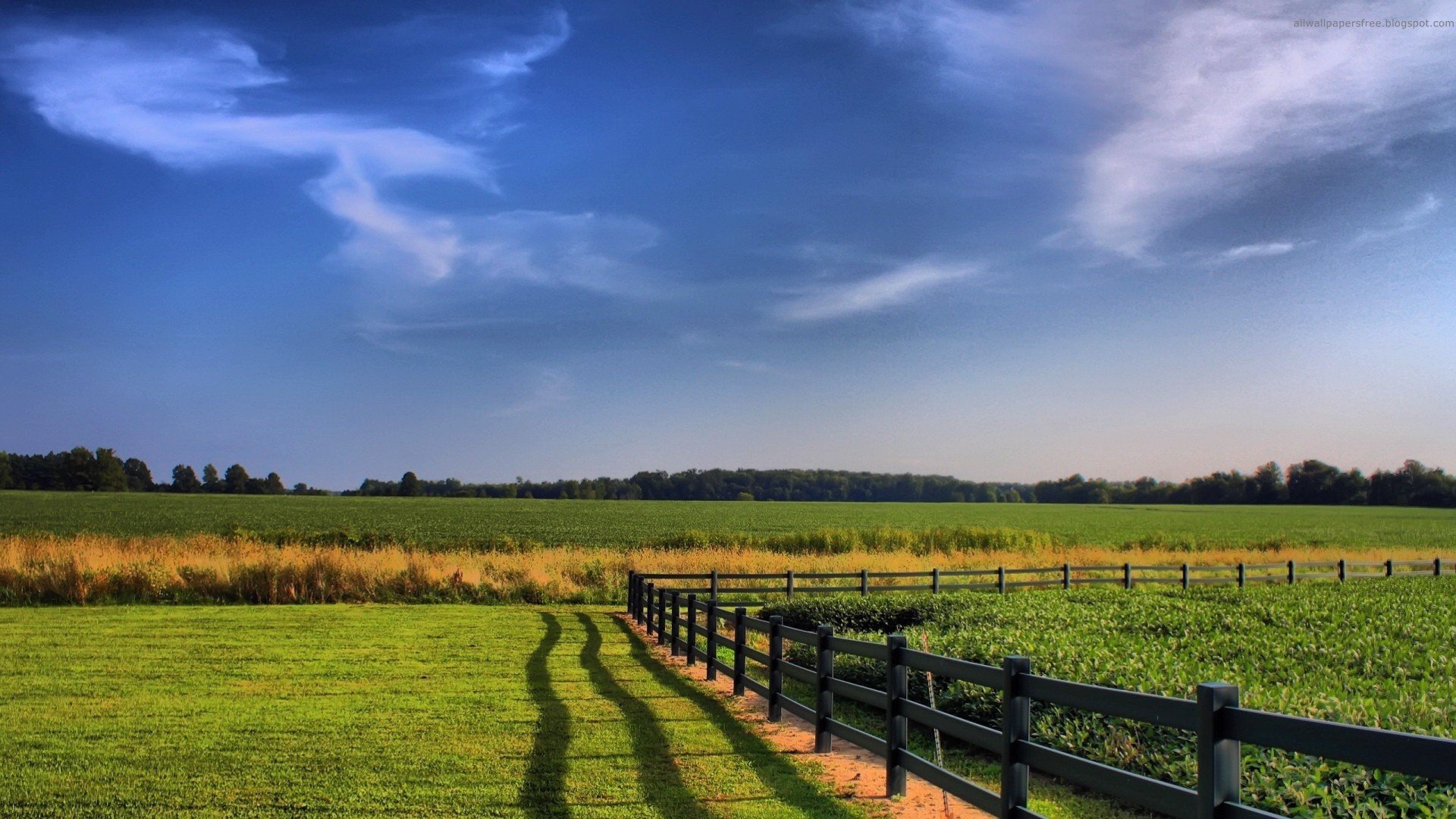 nature Wallpaper