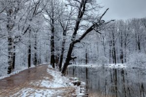 water, Nature, Winter, Snow, Streams, Roads