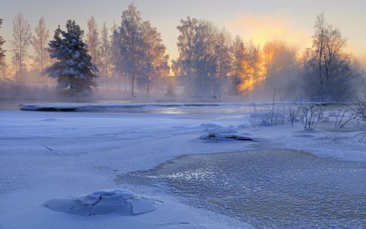 landscapes, Winter, Snow, Trees, Fog HD Wallpaper Desktop Background