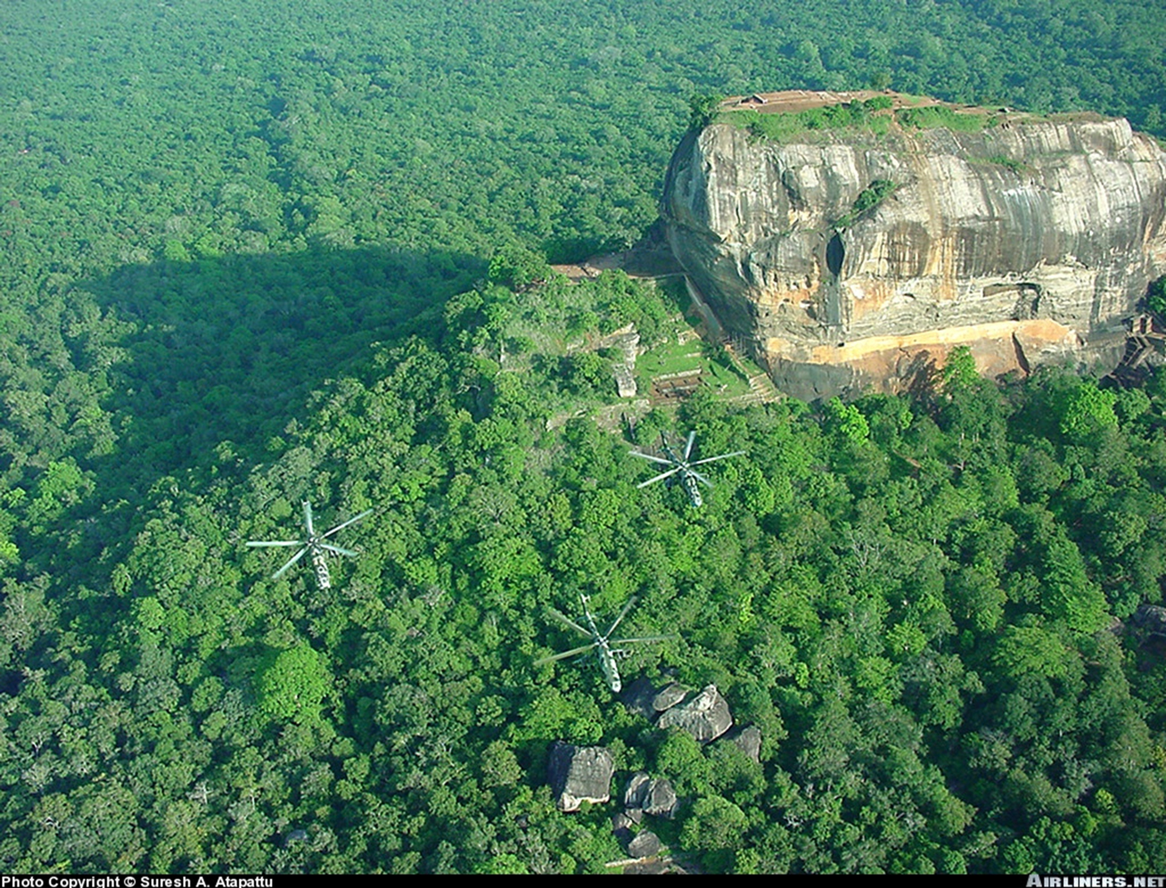 helicopter, Aircraft, Attack, Military, Army, Mil mi, Forest Wallpaper