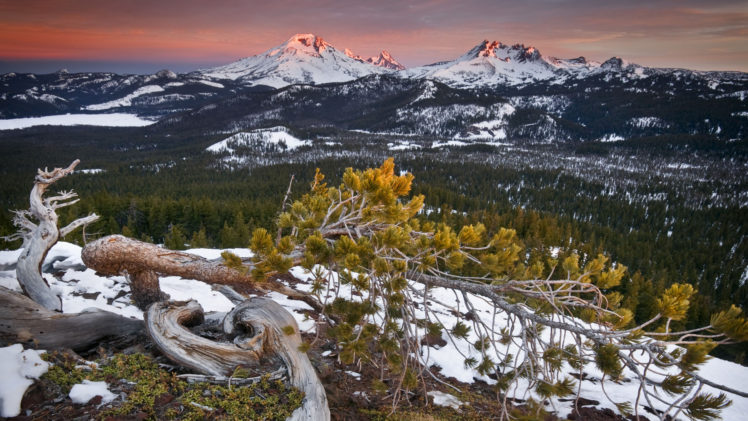 landscapes, Winter, Snow, Sunset, Sunrise HD Wallpaper Desktop Background
